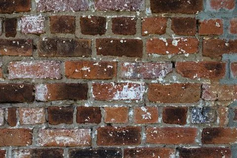 Brickwall 写真素材