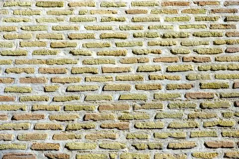 BrickWall Texture / Background Stock Photos