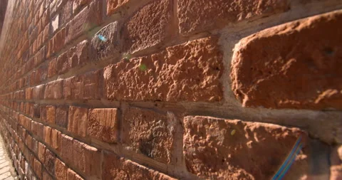 Brickwork in the sun as background Stock Footage 119556315