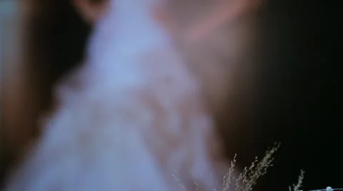 Bridal bouquet Stock Footage 12376846