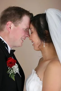 Bridal Couple Stock Photos