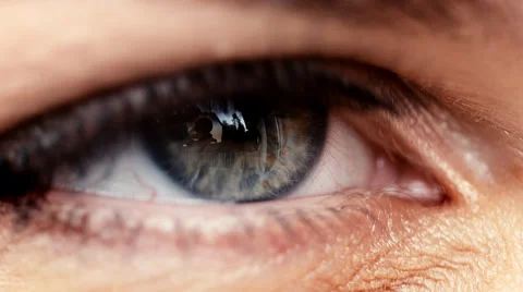 Bridal eye Stock-Footage 33756999