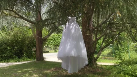 Bridal Gown Hanging from Tree in Sunlit Garden Before Wedding Ceremony in 動画素材 347124342