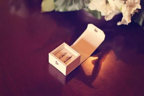 Bridal rings Stock Photos