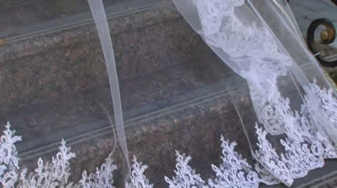 Bridal veil Video stock 8853075