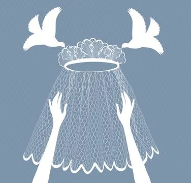 Bridal veil Stock Illustration