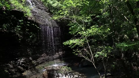 Bridal Veil Side 4220 Stock Footage 132062961
