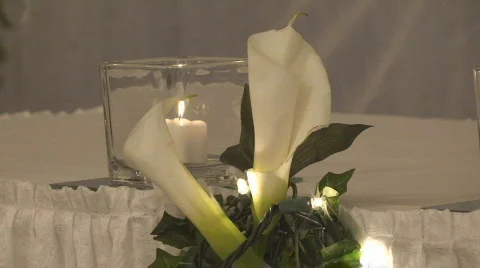 BridalTable02 Stock Footage 548815