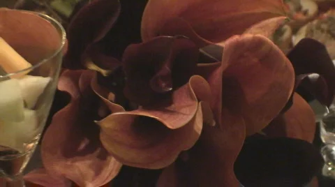 BridalTable09 Stock Footage 548837