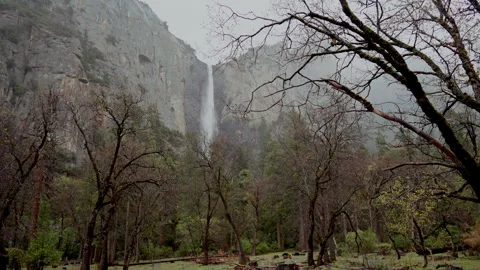Bridalveil Fall behind bare oak branches in Yosemite Valley Stock-Footage 347986747