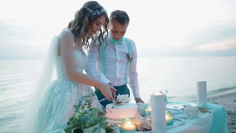 Bride and grom cutting wedding cake Stock Footage 79459973