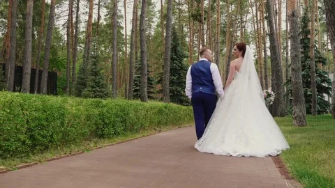 The bride and groom are walking in the park. Rear view. Steadicam shot Stock Footage 80108558