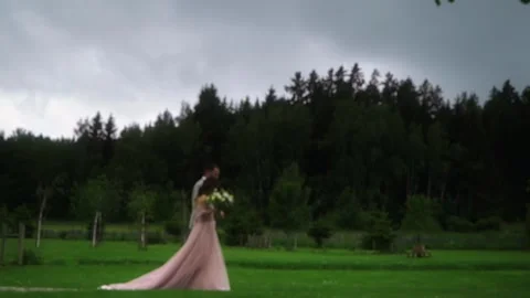 The bride and groom are walking on the lawn,  Stock Footage 279719949