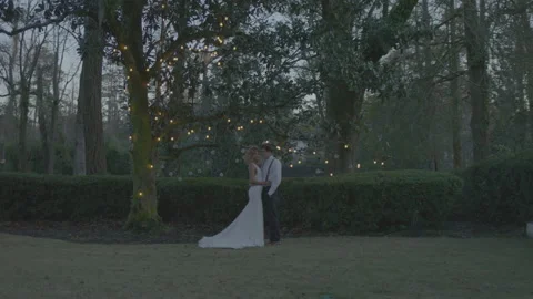 Bride and Groom in the Backyard with String Lights Wrapped Around a Tree Stock Footage 208784154