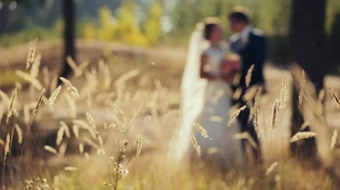 Bride and groom - blurry Stock Footage 51493779
