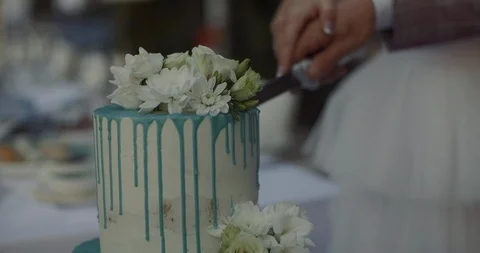 The bride and groom cut wedding white cake Stock Footage 123785249