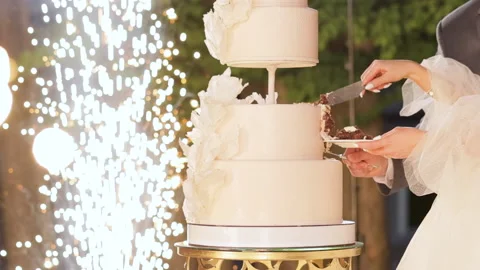 The bride and groom cut the wedding cake. Wedding cake with sparklers. Detail of Stock Footage 196005635