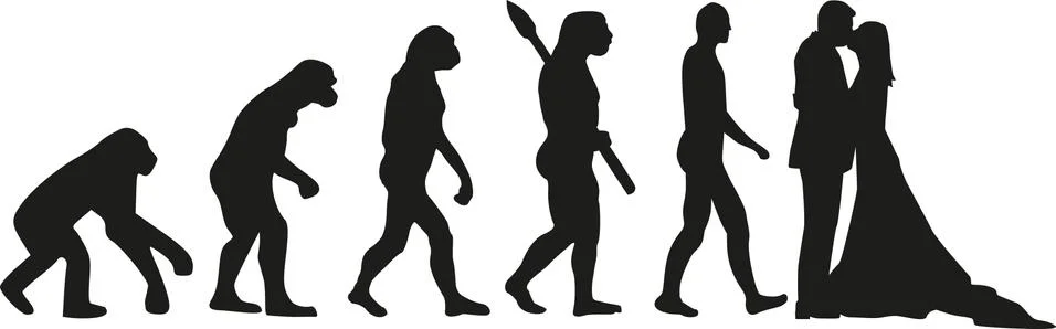 Bride and groom evolution Stock Illustration