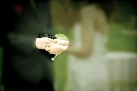 Bride and groom exchange ring Stock Illustration