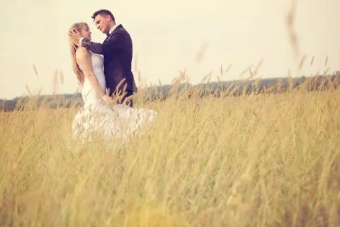 Bride and groom in the fields Stock Photos