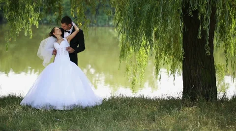 Bride and Groom Stock Footage 33817296