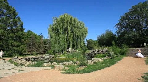 Bride And Groom Video stock 52686291