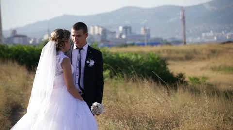 The bride and the groom Stock Footage 66303777