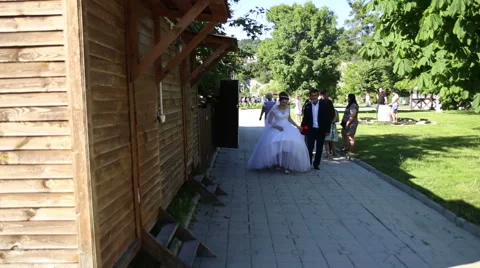 Bride and groom Stock Footage 67104807