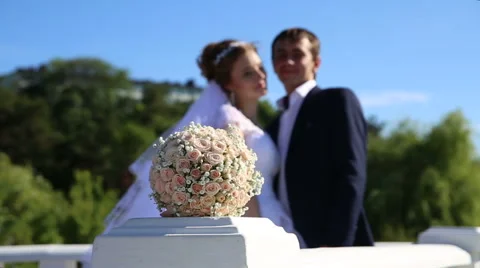 Bride and groom Stock Footage 67104835
