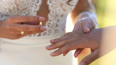 Bride and Groom Stock Footage 97385488