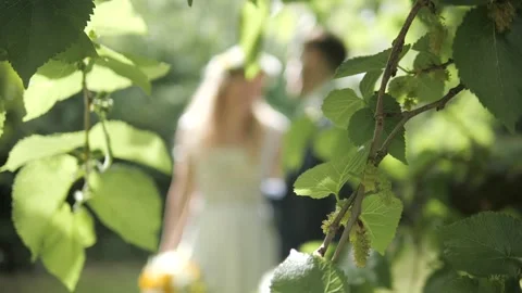 Bride and Groom Video stock 130866152