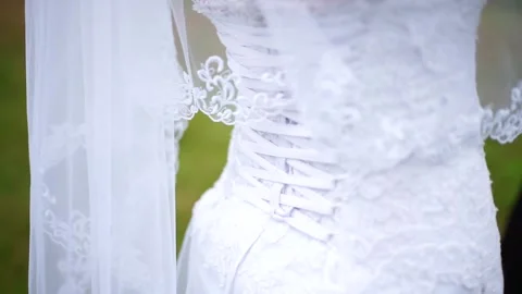 Bride and groom Stock Footage 163567712
