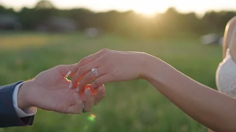 Bride and Groom Stock Footage 333660450