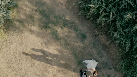Bride and groom in the forest Stock Footage 219875091