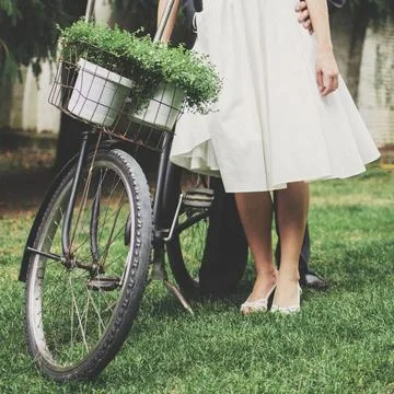 Bride and groom getting married Stock Photos