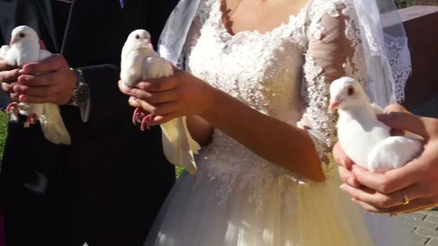 The bride and groom with the guests release pigeons Stock Footage 163566778