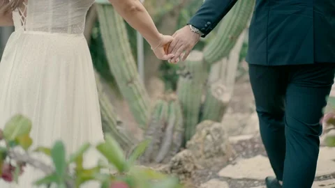 Bride and groom hand in hand. Stock Footage 220132478