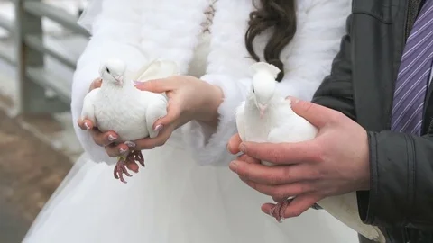 Bride and groom hold two white doves in hands 動画素材 73875669