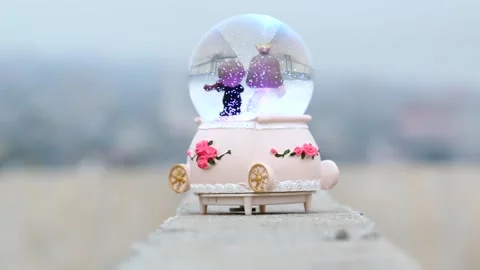 Bride and groom inside the snow globe Stock Footage 141371671