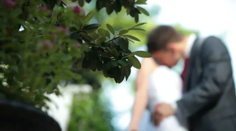 Bride and groom kissing Stock Footage