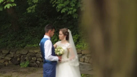 The bride and groom look at each other Stock Footage 72460192