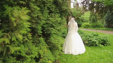 The bride and groom look at each other Stock Footage 73267682