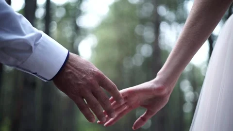 Bride and groom lovingly take each other in the hands of a pine forest. Video stock 200524267
