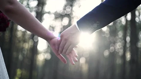 Bride and groom lovingly take each other in the hands of a pine forest. Stock Footage 200524471