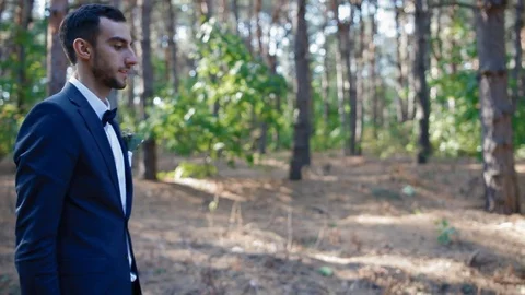 Bride and groom meaat each other in the wood Stock Footage 73517088