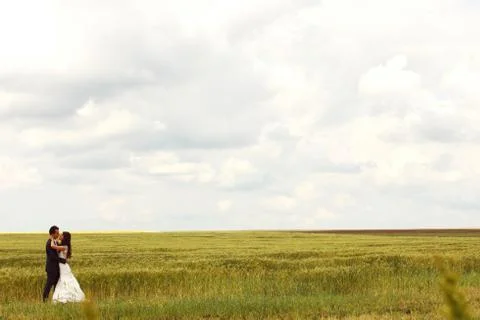 Bride and groom posing in the fields Stock Photos