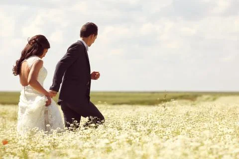 Bride and Groom posing in the fields Stock Photos