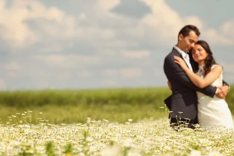 Bride and Groom posing in the fields Stock Photos