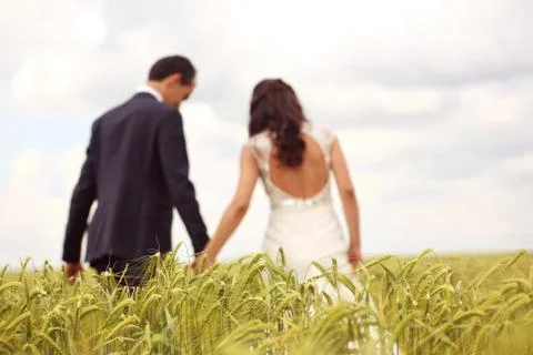 Bride and Groom posing in the fields Stock Photos