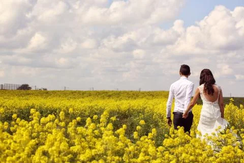 Bride and groom posing in the fields Stock Photos